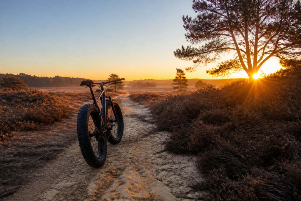 Fatbiken over de heide: wat kun je verwachten?