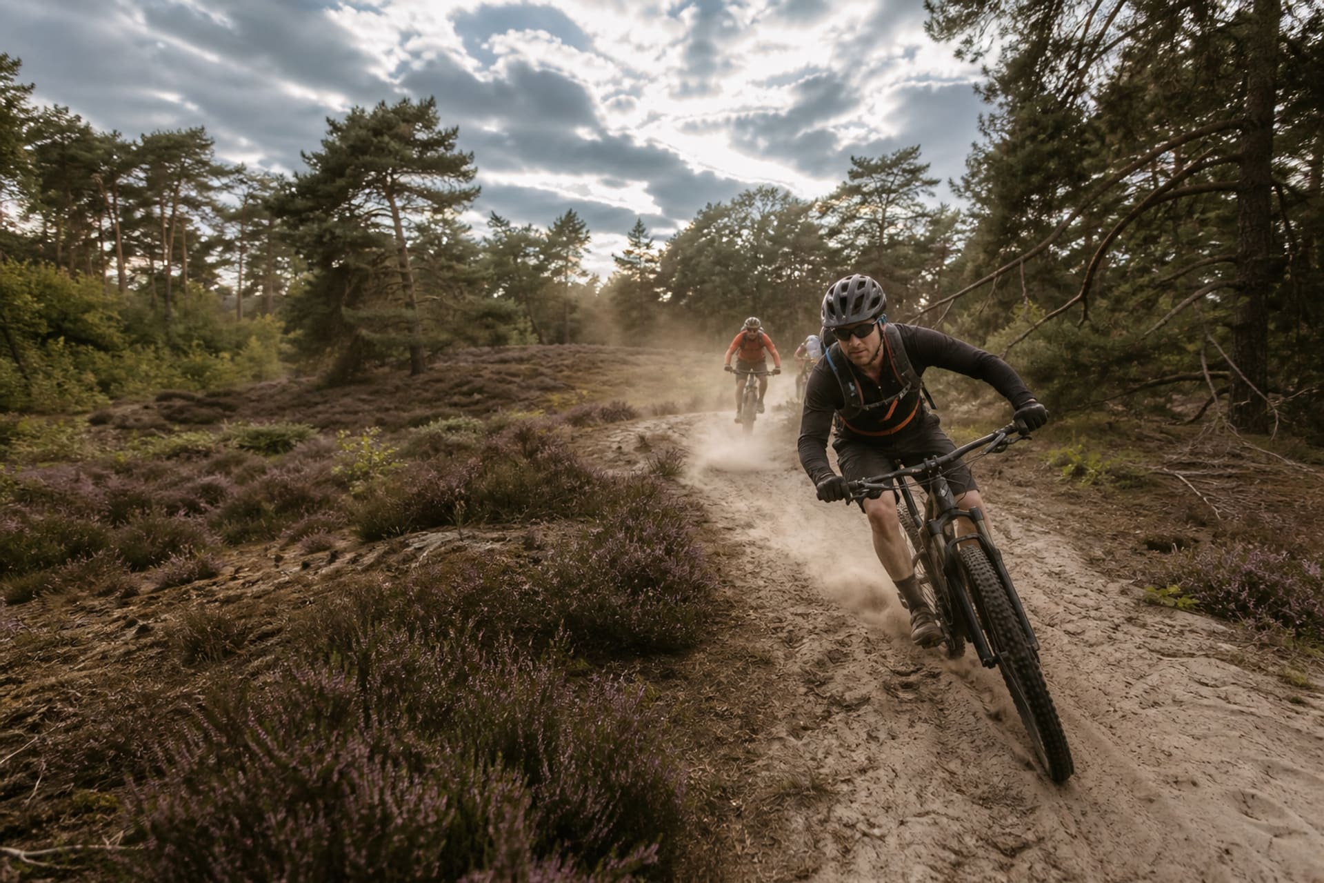 Zand, heide